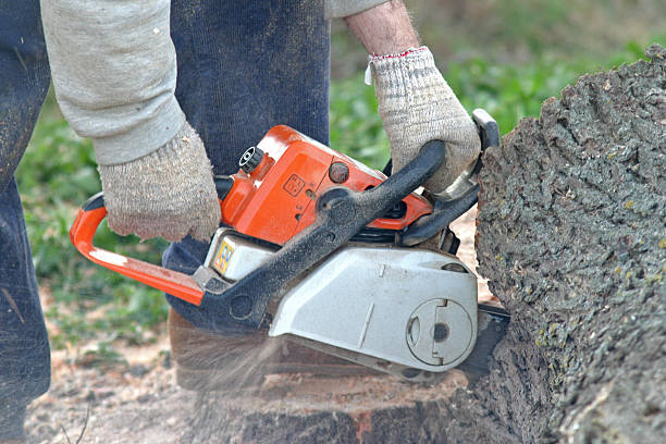 Best Aeration Services  in Denair, CA